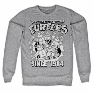 Teenage Mutant Ninja Turtles mikina s potiskem Distressed Since 1984 | L, M, S, XL, XXL