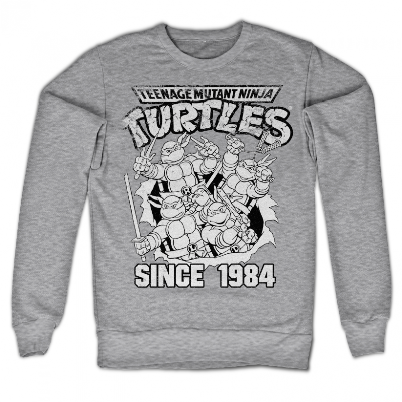 Teenage Mutant Ninja Turtles mikina s potiskem Distressed Since 1984