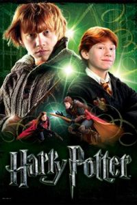 Harry Potter Plakát Puzzle Ron Weasley