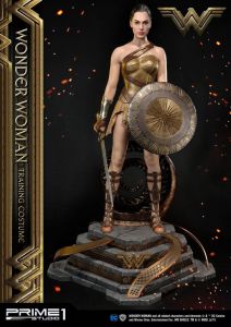 Wonder Woman Soška Wonder Woman Training Kostým 79 cm