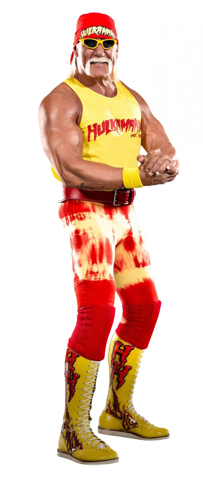 WWE HeroClix Expansion Pack: Hulk Hogan Wizkids