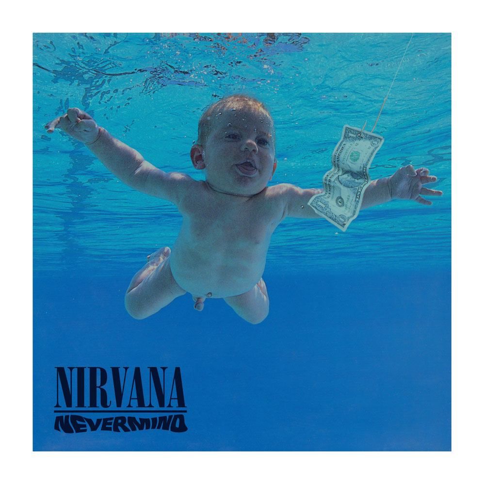 Nirvana Rock Saws Jigsaw Puzzle Nevermind (500 pieces) PHD Merchandise