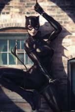 DC Comics Plakát Pack Catwoman Spot Light 61 x 91 cm (5)
