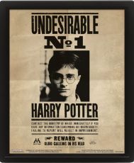 Harry Potter Zarámovaný 3D Effect Plakát Pack Potter / Sirius 26 x 20 cm (3)
