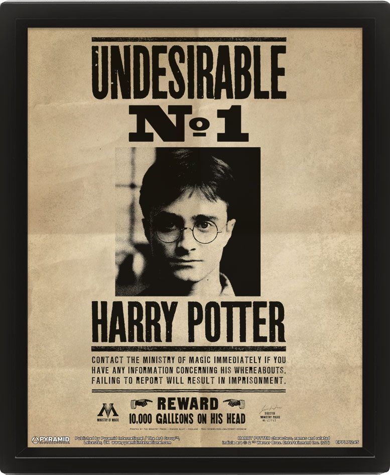 Harry Potter Zarámovaný 3D Effect Plakát Pack Potter / Sirius 26 x 20 cm (3) Pyramid International
