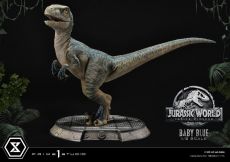 Jurassic World: Fallen Kingdom Prime Collectibles Soška 1/2 Baby Blue 34 cm