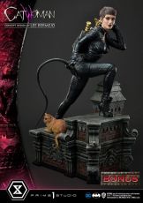 DC Comics Soška 1/3 Catwoman Deluxe Bonus Verze Concept Design by Lee Bermejo 69 cm