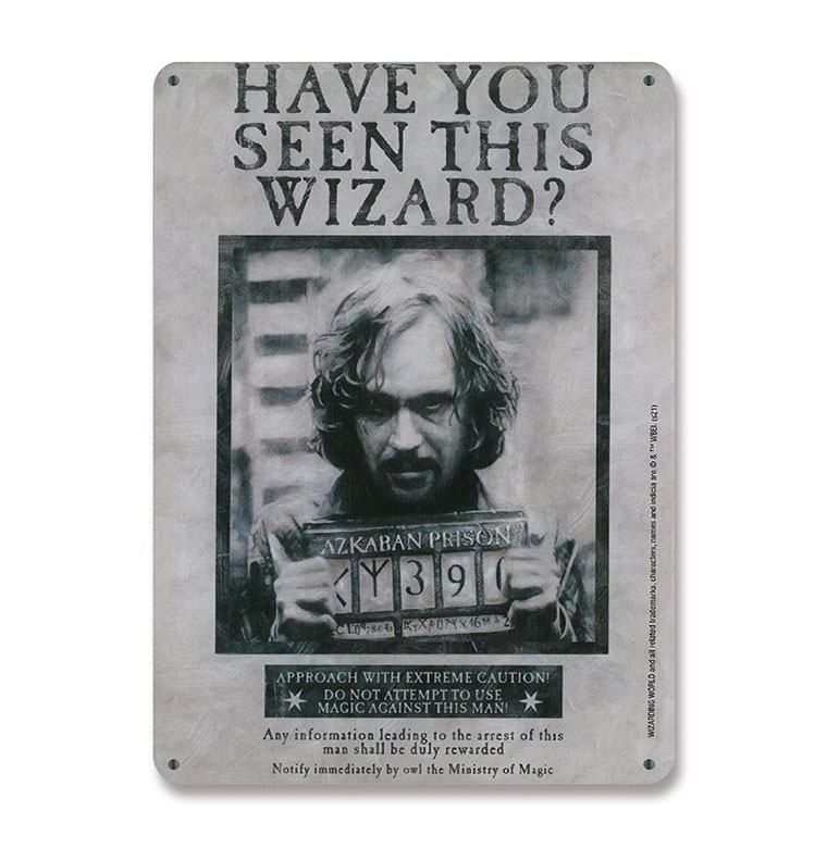 Harry Potter Tin Sign Have You Seen This Wizard 15 x 21 cm Logoshirt