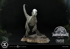 Jurassic World: Fallen Kingdom Prime Collectibles Soška 1/10 Charlie 17 cm