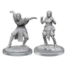 Pathfinder Battles Deep Cuts Unpainted Miniatures 2-Packs Half-Elf Monk Female Case (2)