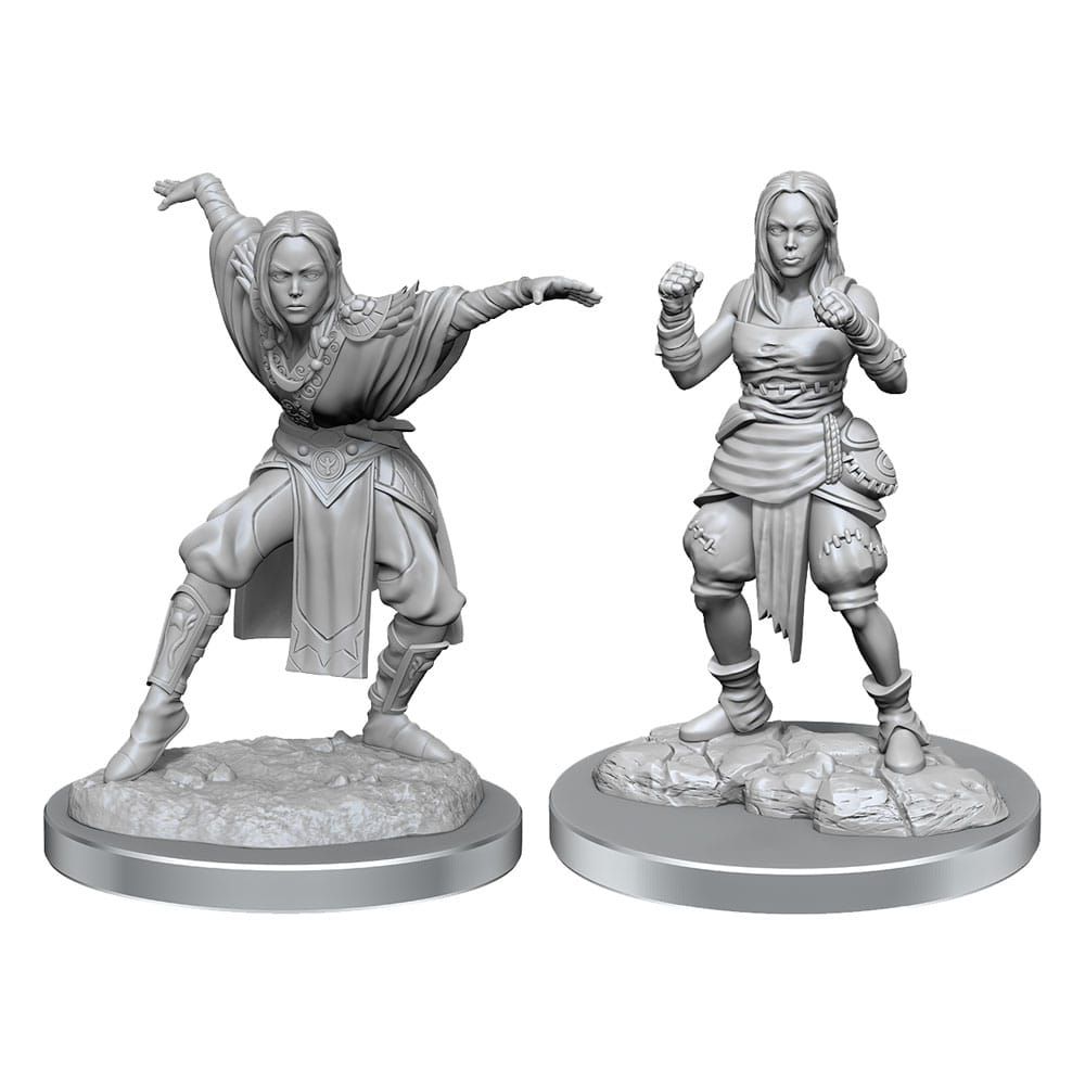 Pathfinder Battles Deep Cuts Unpainted Miniatures 2-Packs Half-Elf Monk Female Case (2) Wizkids
