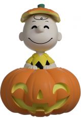 Peanuts vinylová Figure Pumpkin Patch Charlie Brown 12 cm