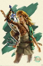 The Legend of Zelda Tears of the Kingdom Plakát Pack Link Unleashed 61 x 91 cm (5)