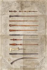 Harry Potter Plakát Pack The Wand chooses the Wizzard 61 x 91 cm (4)