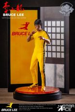 Game of Death My Favourite Movie Soška 1/6 Billy Lo (Bruce Lee) Deluxe Verze 30 cm Star Ace Toys