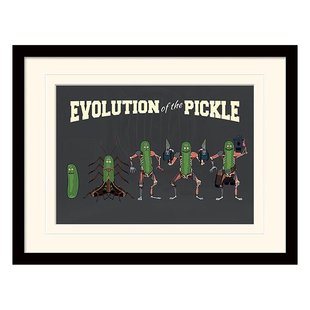 Rick and Morty Collector Print Zarámovaný Plakát Evolution of the Pickle (white background) Pyramid International