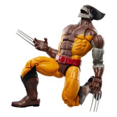 Wolverine 50th Anniversary Marvel Legends Akční Figure 2-Pack Wolverine & Lilandra Neramani 15 cm Hasbro