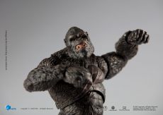 Godzilla Exquisite Basic Akční Figure Godzilla vs Kong (2021) Kong 16 cm Hiya Toys
