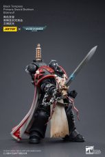 Warhammer 40k Akční Figure 1/18 Black Templars Primaris Sword Brethren Eberwulf 12 cm Joy Toy (CN)