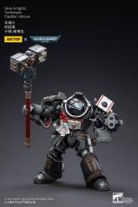 Warhammer 40k Akční Figure 1/18 Grey Knights Terminator Caddon Vibova 13 cm Joy Toy (CN)