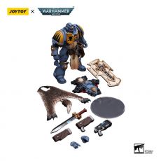 Warhammer 40k Akční Figure 1/18 Primaris Space Marines Space Wolves Bladeguard Veteran 12 cm Joy Toy (CN)