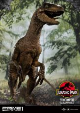 Jurassic Park Soška 1/6 Velociraptor 41 cm Prime 1 Studio