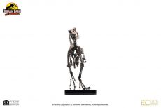 Jurassic Park Soška 1/4 Raptor Skeleton Bronze 46 cm Toynami