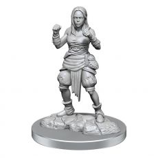 Pathfinder Battles Deep Cuts Unpainted Miniatures 2-Packs Half-Elf Monk Female Case (2) Wizkids
