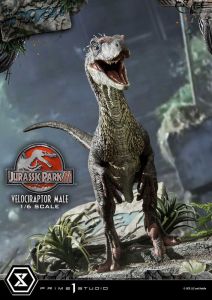 Jurassic Park III Legacy Museum Kolekce Soška 1/6 Velociraptor Male 40 cm Prime 1 Studio